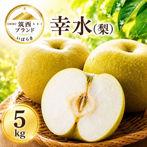 【 JA 北つくば 】 筑西ブランド 認証品 幸水 5kg 2026年産 先行予約
