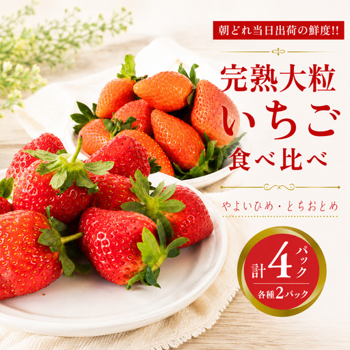 完熟 やよいひめ ・ とちおとめ 食べ比べ 4パック
