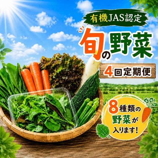 [毎月定期便4回]有機 野菜セット 8種 有機野菜