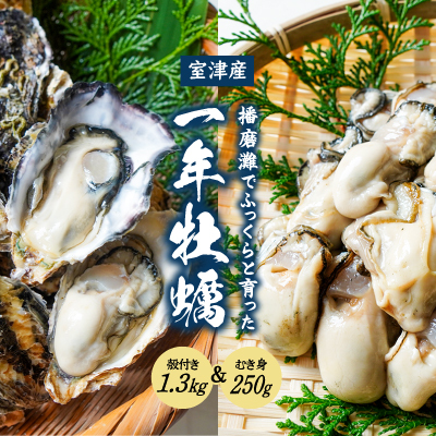 H-12【12月～3月限定】 室津産 殻付き牡蠣1.3kg + むき身250g