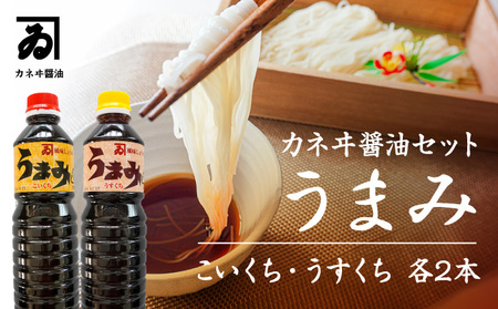 H-88　【明治2年創業 カネヰ醤油】風味醤油「うまみ」こいくち・うすくち各500ml×2本セット