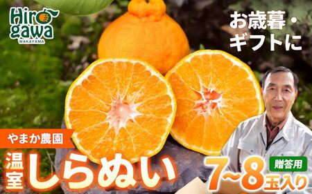 温室 不知火 ( しらぬい ) 3kg(7〜8玉)化粧箱入 / デコポン ハウス栽培 甘い 和歌山 柑橘 お歳暮 ※2026年11月下旬〜2026年12月下旬に順次発送 [ymk006-p-3]
