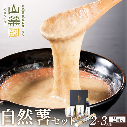 お店の味をご家庭で。[箱根自然薯の森 山薬]自然薯セット(2〜3人前×2回分)[とろろ 極上とろろ 山芋 箱根 お家用 家庭用 国産 セット商品 自然薯 神奈川県 小田原市 とろろ]