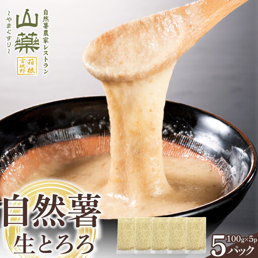 自然薯の味をお楽しみください。自然薯生とろろ100g×5pセット[とろろ 極上とろろ 山芋 箱根 お家用 家庭用 国産 セット商品 自然薯 味付とろろ 神奈川県 小田原市 とろろ]