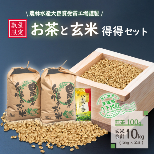 【数量限定】令和7年産 コシヒカリ 10kg 玄米 煎茶 セット