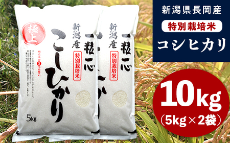 48-7N101新潟県長岡産特別栽培米コシヒカリ10kg