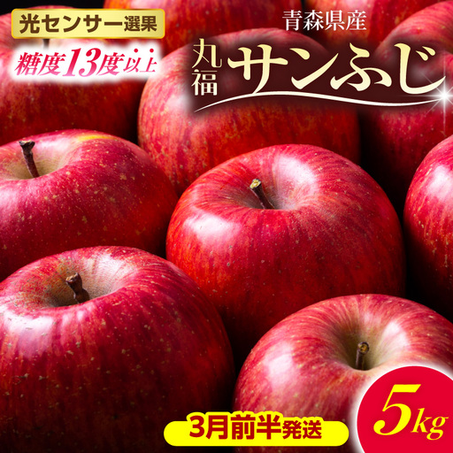 【2027年3月前半発送】 りんご 約5kg 丸福 サンふじ 青森県産 りんご