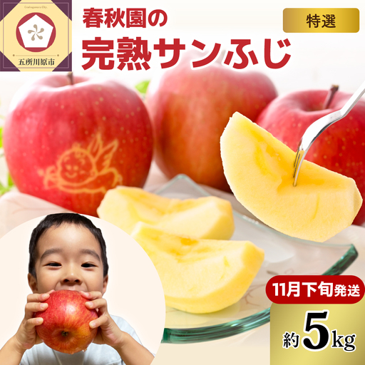 りんご 5kg[2026年11月下旬発送]青森産りんご 春秋園の「特選」大玉完熟サンふじ