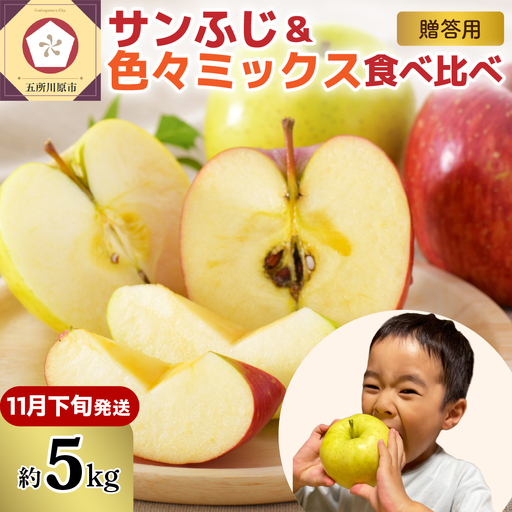 [2026年11月下旬発送]りんご 青森産 約5kg 津軽 完熟 サンふじ & 色々ミックス 贈答用