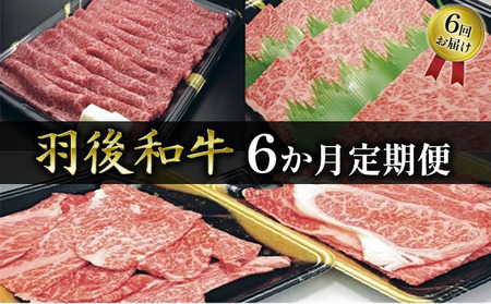 部位・量おまかせ！羽後和牛定期便（6ヶ月） 牛肉 お肉 