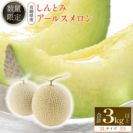 2027年5～7月出荷 アールスメロン 2L2玉 計3kg B520-02