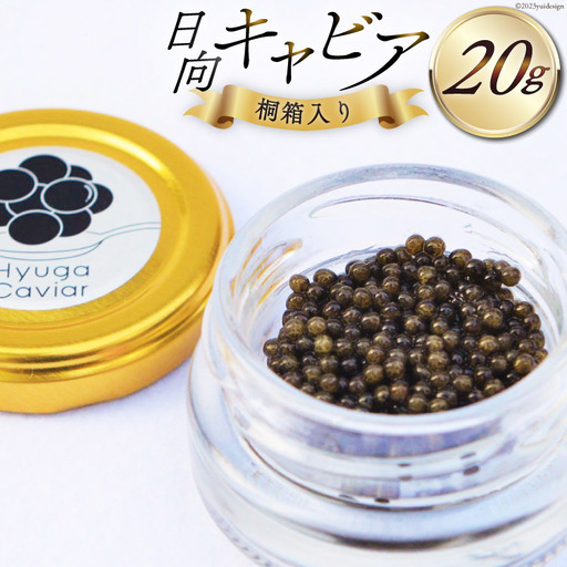 キャビア 日向キャビア (Hyuga Caviar) 20g 桐箱入り