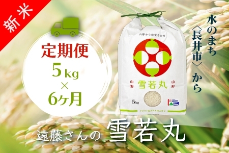【定期便6ヶ月】【令和8年産新米】【特別栽培米】遠藤さんの「雪若丸」5kg×1袋×6ヶ月_A117(R8)