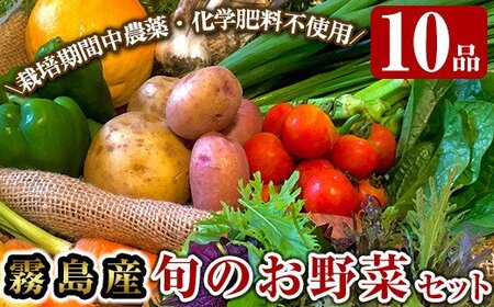 霧島産!旬の野菜セット(季節の野菜10品)[有機ファームえん]