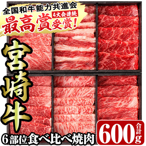[宮崎牛・3D冷凍]6部位食べ比べ焼肉(合計600g)牛肉 国産 冷凍[R-27][株式会社ミヤチク]