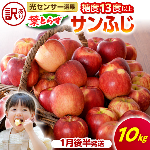 りんご 1月後半発送 訳あり 葉とらずサンふじ 約10kg りんご