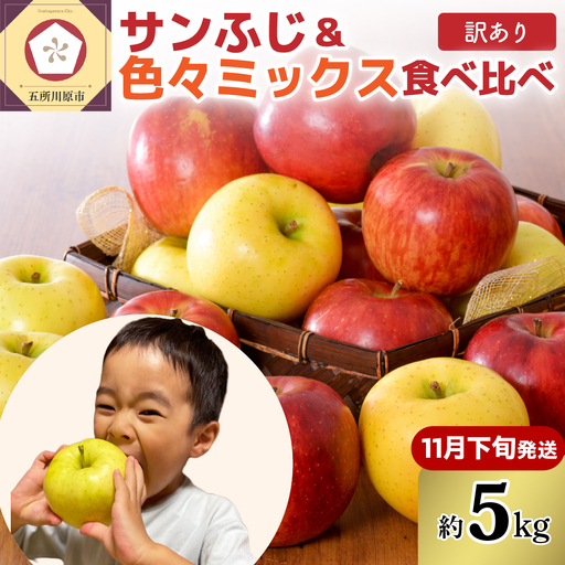 青森りんご [2026年11月下旬発送][訳あり]りんご 5kg 青森 家庭用 完熟 サンふじ & 色々ミックス