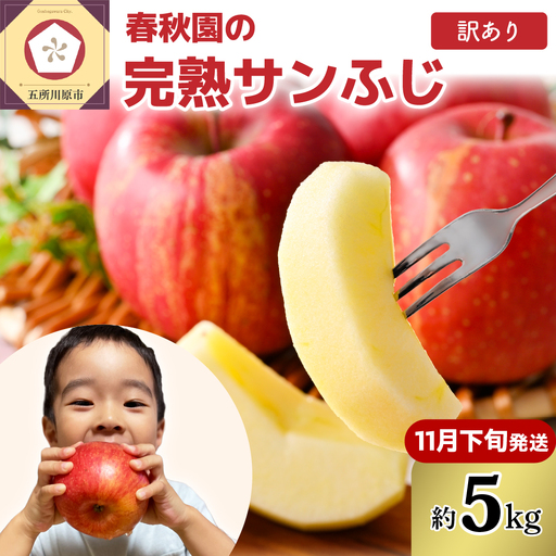 りんご 5kg[2026年11月下旬発送]訳あり青森りんご家庭用完熟サンふじ