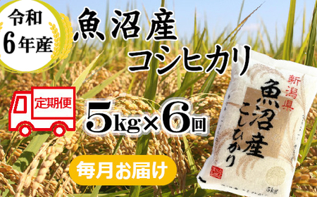 ※使用しない 66P389BE 令和6年産 魚沼産コシヒカリ 定期便 5kg×6回【毎月お届け】（小千谷米穀）白米 魚沼 米 定期便