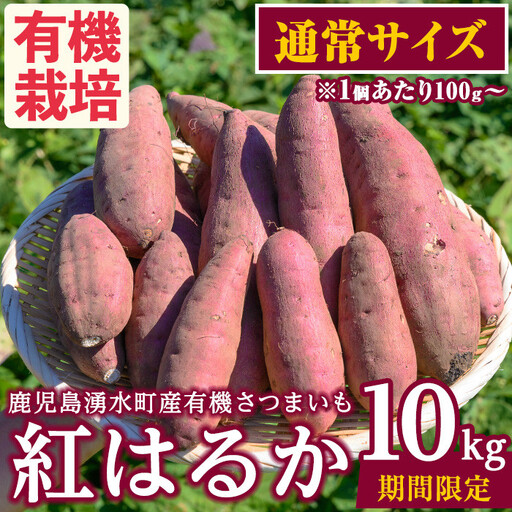 さつまいも 紅はるか 10kg 通常サイズ【そのやま農園】_y329-A