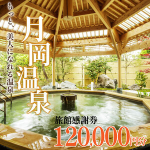 月岡温泉旅館 感謝券 (計120,000円分) 【もっと美人になれる温泉】 新潟県 新発田市 A01_40