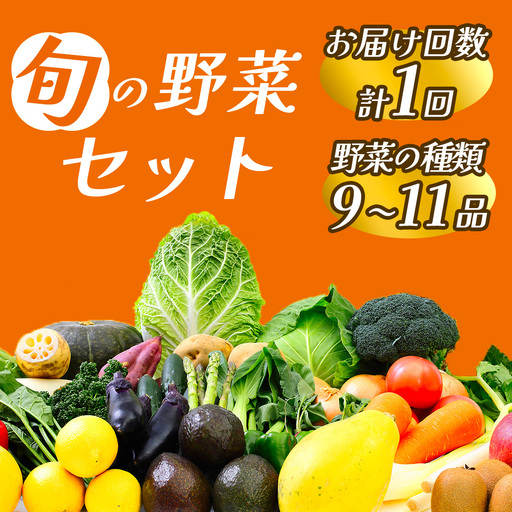 旬の野菜セット [ 朝どれ 野菜 やさい 新鮮 ]