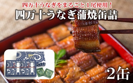 四万十うなぎ 缶詰 蒲焼 2缶セット 山椒付き 缶詰 [1421]