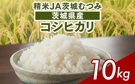 [令和7年産]茨城県産コシヒカリ10kg(5kg×2袋)精米JA茨城むつみ _CL05 ※2025年10月下旬頃より順次発送予定