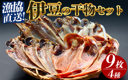 漁協直送! 干物詰め合わせ [ 干物 ]