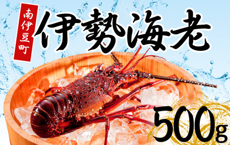 伊勢海老セット[A] [ 伊勢海老 いせえび ]