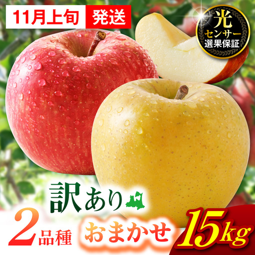 【2026年11月上旬発送】【訳あり】旬の美味しい りんご 約15kg 青森産 【おまかせ2品種】 りんご