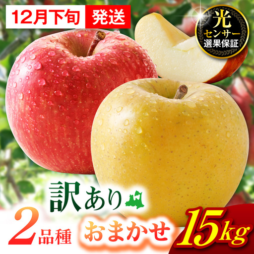 【2026年12月下旬発送】【訳あり】旬の美味しい りんご 約15kg 青森産 【おまかせ2品種】 りんご