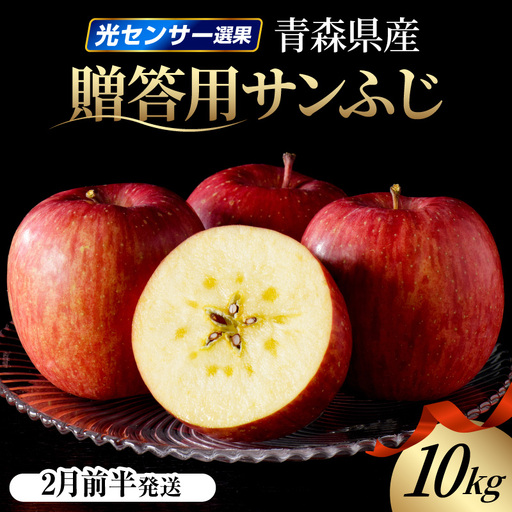 【2027年2月前半発送】 りんご 約10kg サンふじ 青森産 糖度 13度以上 贈答用 特選～特秀