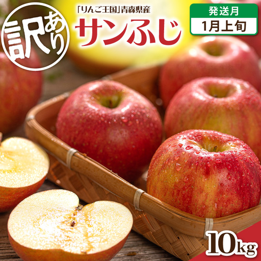 【2027年1月上旬発送】《訳あり》 りんご 約10kg サンふじ 青森産 りんご