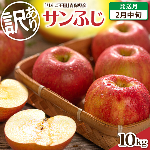 【2027年2月中旬発送】《訳あり》 りんご 約10kg サンふじ 青森産 りんご