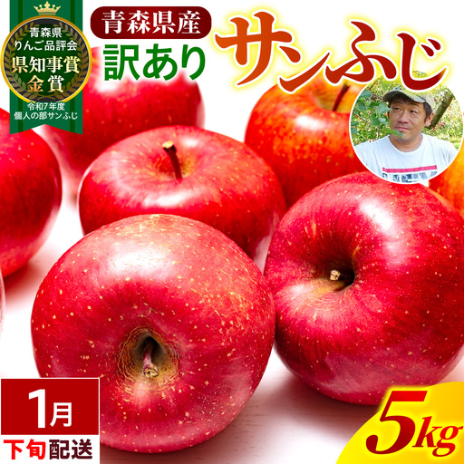 【2027年1月下旬発送】【訳あり】 りんご 約5kg 青森県産 サンふじ 家庭用 りんご