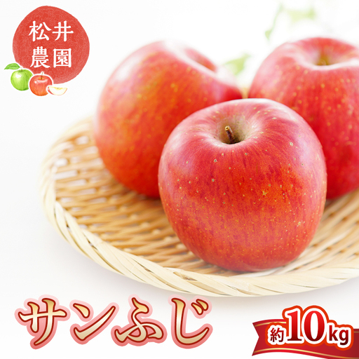 りんご 信州小諸 松井農園のサンふじ 約10kg りんご