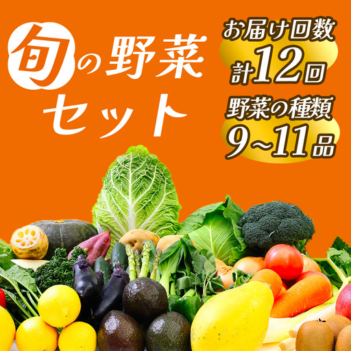 旬の野菜セット 1年間の定期便 [ 朝どれ 野菜 やさい 新鮮 ]