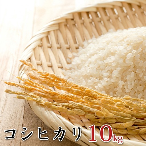 令和6年産環境こだわり近江米コシヒカリ10kg（無洗米） お米 