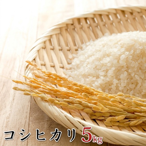 令和6年産環境こだわり近江米コシヒカリ5kg（無洗米） お米 