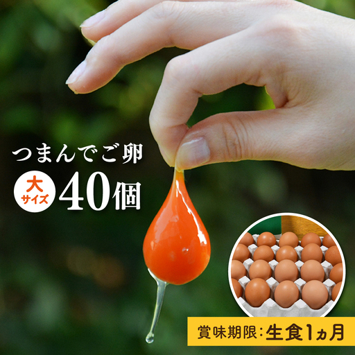 つまんでご卵 卵 大サイズ 40個 セット [AGA011] たまご