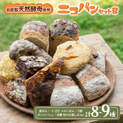 カラダヨロコブ天然酵母のニコパンセットB | パンパンパンパン
