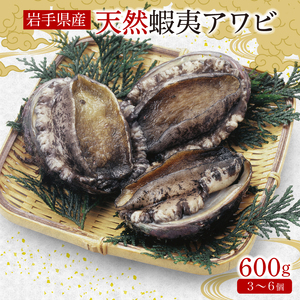 蝦夷あわび 約600g 冷凍