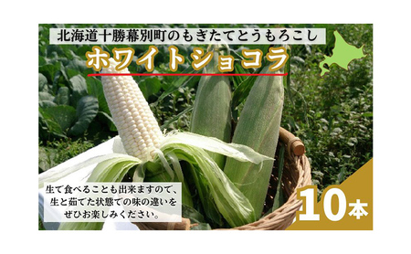 [先行予約/2026年]もぎたてとうもろこし白10本 [北海道ホープランド農場][ とうきび トウモロコシ とうもろこし 野菜 夏野菜 フルーツ 北海道 十勝 幕別 ]