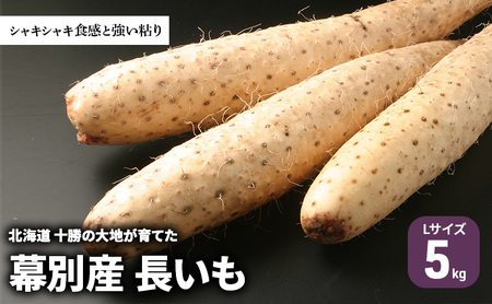 長いも 5kg Lサイズ 北海道十勝幕別産 長いも