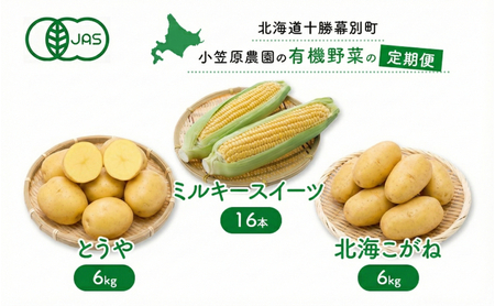 小笠原農園の有機野菜 定期便 夏「とうもろこし」ミルキースイーツ16本・秋「じゃがいも2種」とうや6kg・北海こがね6kg[2026年8月出荷開始]北海道 十勝 幕別[ スイートコーン じゃがいも 芋 セット 野菜 ]