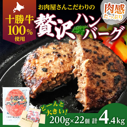 手ごねハンバーグ 200g×22個 十勝牛 ハンバーグ