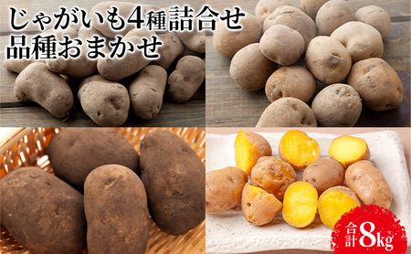 【先行予約】じゃがいも4種詰合せ（品種おまかせ合計8kg）【十勝幕別 北海道ホープランド農場】 野菜 セット 