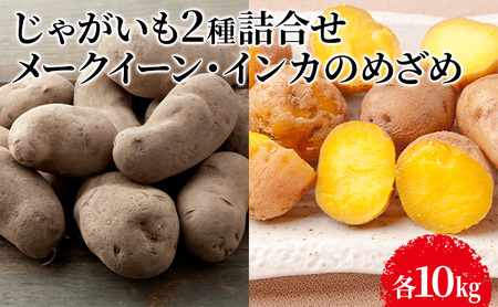 [先行予約]じゃがいも2種詰合せ(メークイン10kg・インカのめざめ10kg)[十勝幕別 北海道ホープランド農場] 野菜 セット
