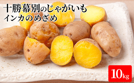 【先行予約】十勝幕別のじゃがいも10kg（インカのめざめ）【北海道ホープランド農場】 野菜 